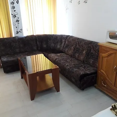 Ruse Central Studio Apartment Ruse