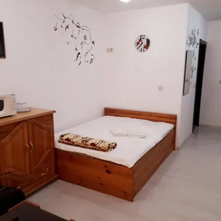 Ruse Central Studio Apartment Ruse