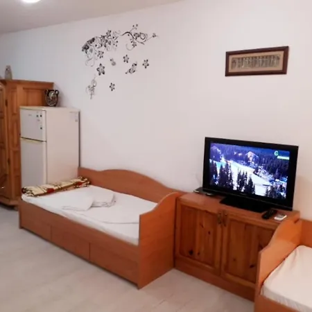 Ruse Central Studio